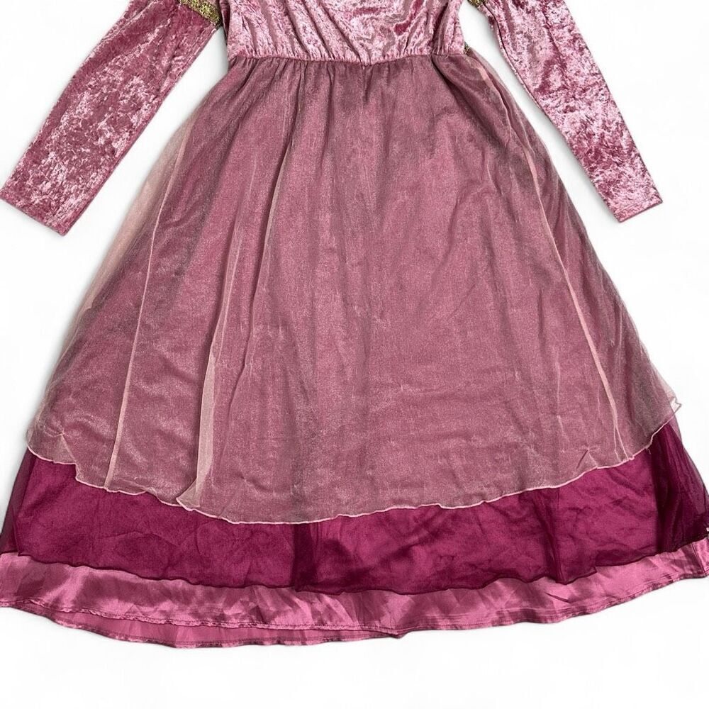 Disney Enchanted Rapunzel Princess Dress Costume Girls L 10/12 Crush Velvet Rare - Picture 5 of 12